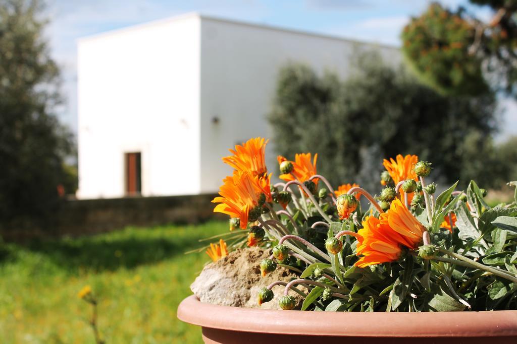Masseria Marico Castellaneta Room photo