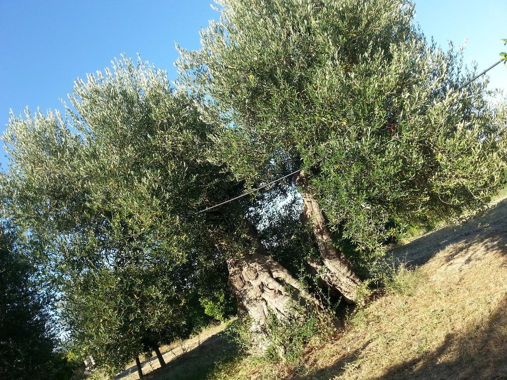Masseria Marico Castellaneta Exterior photo